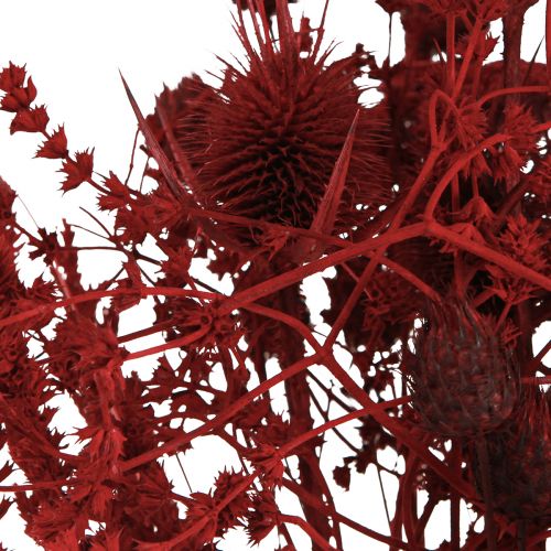Artikel Trockenblumenstrauß Distel in Weinrot 40cm – Elegante, langlebige Deko für Events & Räumlichkeiten