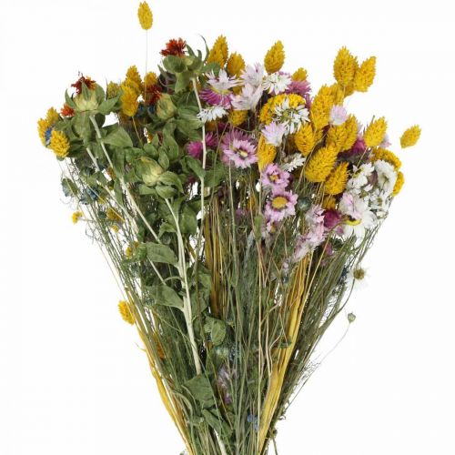 Floristik21 Trockenblumenstrauß bunt Trockenstrauß Wiesenblumen Bouquet 58cm