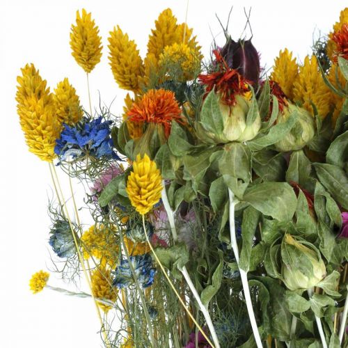 Floristik21 Trockenblumenstrauß bunt Trockenstrauß Wiesenblumen Bouquet 58cm