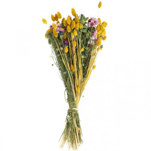 Floristik21 Trockenblumenstrauß bunt Trockenstrauß Wiesenblumen Bouquet 58cm