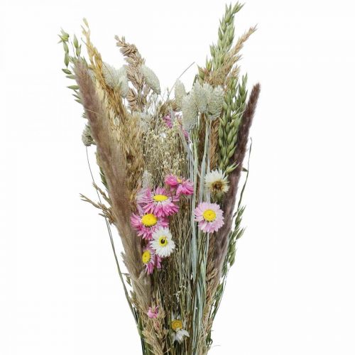 Floristik21 Trockenblumenstrauß Gras Phalaris Strohblumen Pink 60cm 110g