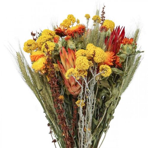 Floristik21 Trockenblumenstrauß Strauß Wiesenblumen Orange H50cm 300g