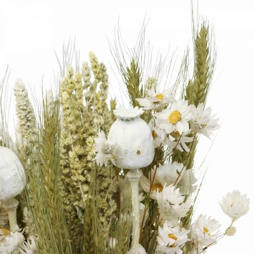 Floristik21 Trockenblumenstrauß Strohblumen Getreide Mohnkapsel Trockengras 50cm