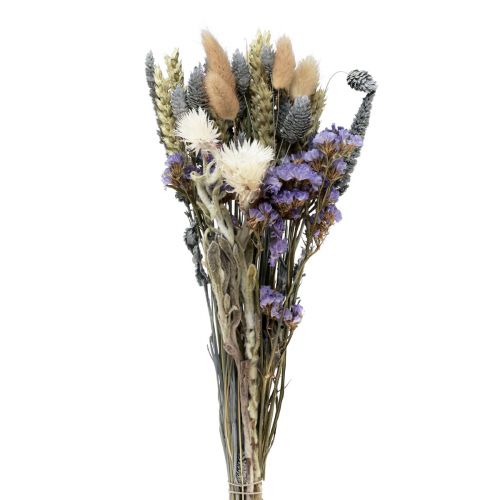 Floristik21 Trockenblumenstrauß Strohblumen Strandflieder Violett 30cm