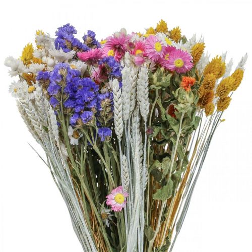 Trockenblumenstrauß Strohblumen Strandflieder Phalaris Getreide 55cm