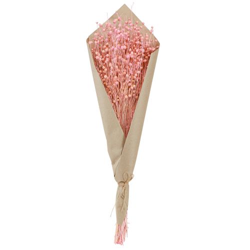 Artikel Trockengras Getrockneter Flachs Hellrosa H50–55cm 80g