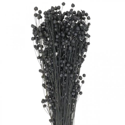 Floristik21 Trockengras Getrockneter Flachs Schwarz H50–55cm 80g