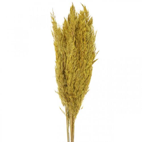 Artikel Trockengras Riedgras Deko getrocknet Gelb 70cm 10 St