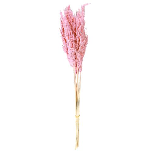 Artikel Trockengras Riedgras getrocknet Dekogras Rosa 70cm 10 St