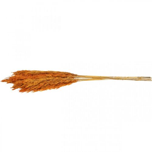 Artikel Trockengras Riedgras getrocknet Dekogras Orange 70cm 10 St
