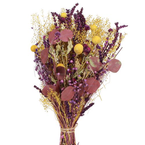 Floristik21 Trockenstrauß Gelb Lila Grün mit Craspedia & Eukalyptus 53cm 150g