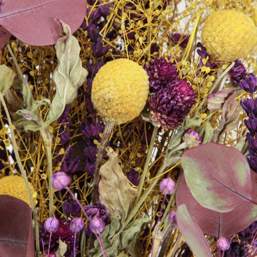 Artikel Trockenstrauß Gelb Lila Grün mit Craspedia & Eukalyptus 53cm 150g