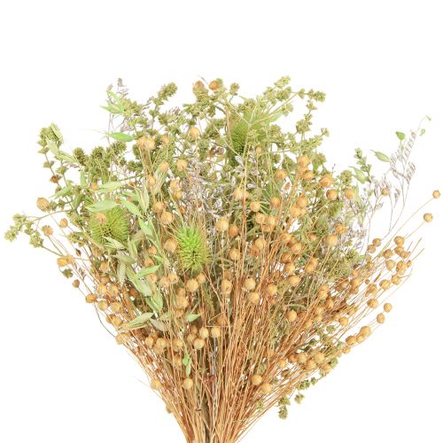 Floristik21 Trockenstrauß Charme Ländlich Natur Weiß Mint 40cm 80g Deko-Highlight Langzeit