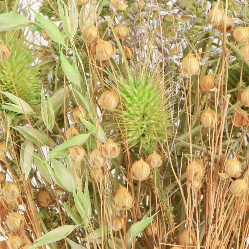 Artikel Trockenstrauß Charme Ländlich Natur Weiß Mint 40cm 80g Deko-Highlight Langzeit