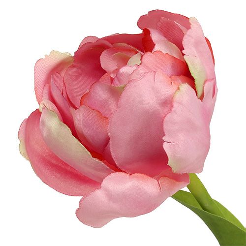 Artikel Tulpe Rosa 37cm 6St
