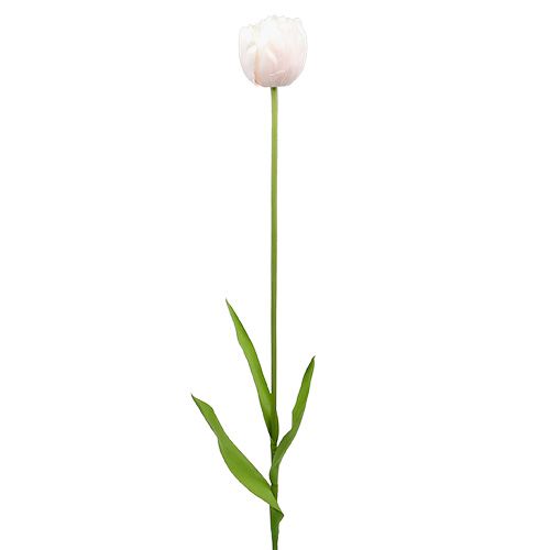 Floristik21 Tulpe Weiß-Rosa 86cm 3St