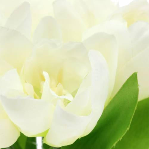 Floristik21 Frühlings-Dekoration Tulpen im Bund Weiß 26,5cm 5St