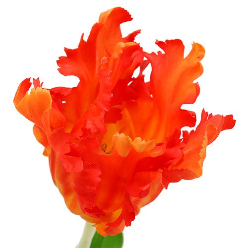 Artikel Tulpe Orange 70cm