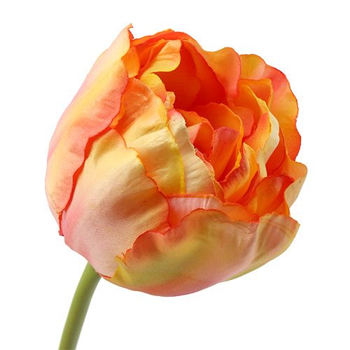 Floristik21 Tulpen Rosa-Gelb 86cm 3St