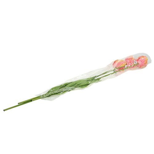 Floristik21 Tulpen Rosa-Gelb 86cm 3St
