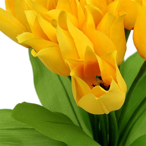 Tulpenbusch Gelb H30cm