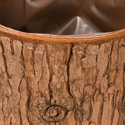 Floristik21 Rustikaler Übertopf Holz rund Pflanztopf Pinienrinde Ø15cm H12,5cm Dekoration