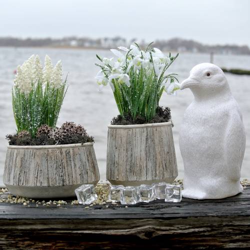 Floristik21 Übertopf Vase Beton Holzdesign Ø15cm