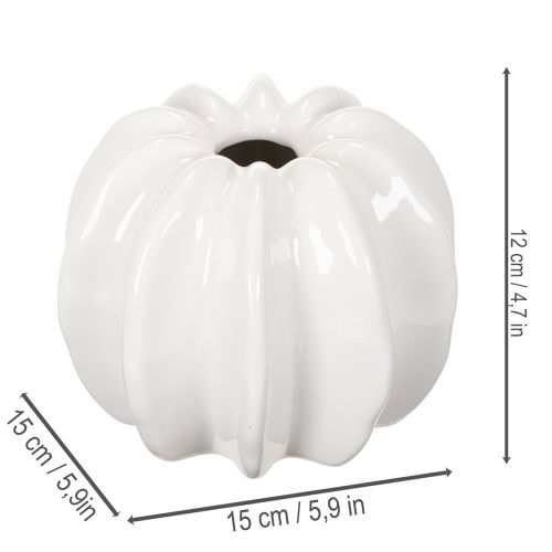 Kürbis-Keramikvase Weiß 15cm Dekoration für gewerbliche Anwendungen | Floristik21.de