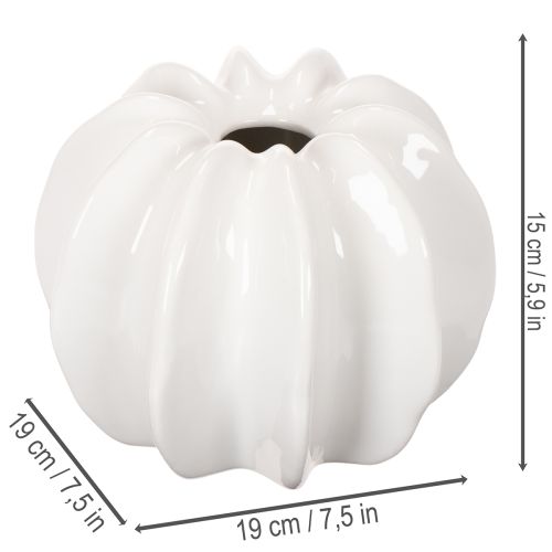 Kürbisform Vase 19 cm Weiß Glänzend Innenbereich Trockenblumen | Floristik21.de