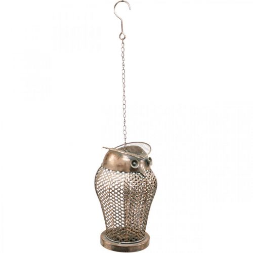 Floristik21 Vintage Laterne Eule Gartenlaterne Teelichthalter Gold H29cm