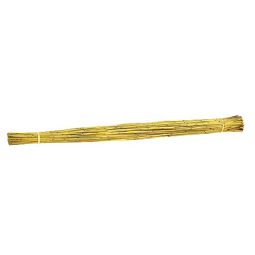 Floristik21 Vlei Reed 400g Gelb