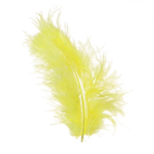 Floristik21 Vogelfedern Gelb zum Basteln und Dekorieren 5cm–10cm 20g