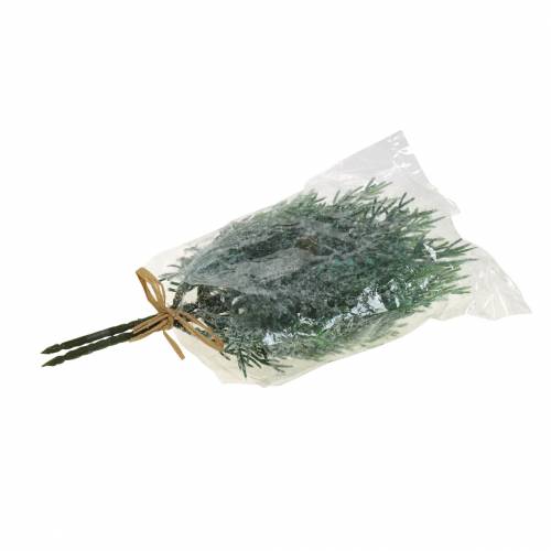 Floristik21 Dekozweig Wacholder mit Zapfen Grün-Geeist, Blau gewaschen 25cm 2 St.