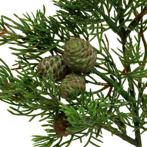 Wacholderzweig mit Zapfen Grün 39cm 3St | Floristik21.de