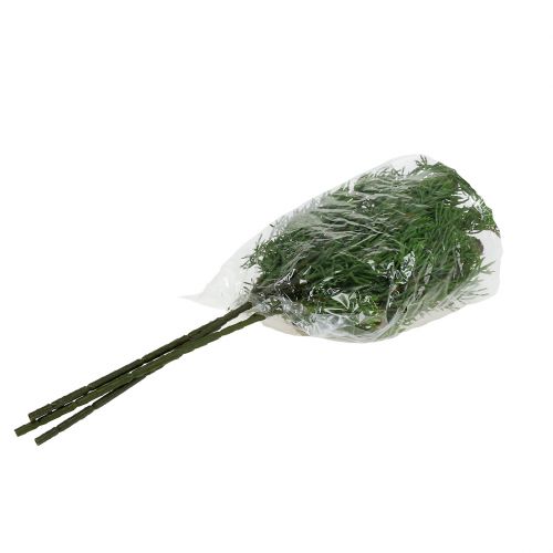 Wacholderzweig mit Zapfen Grün 39cm 3St | Floristik21.de