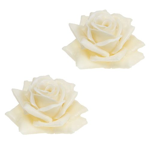 Floristik21 Wachsrose Ø10cm Creme 6St