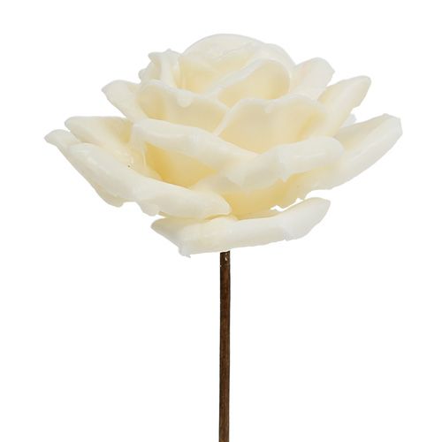 Wachsrose Ø10cm Creme 6St