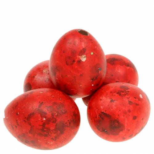 Wachteleier Rot Ausgeblasene Eier 50St Wachteleier Rot Ausgeblasene Eier 50St