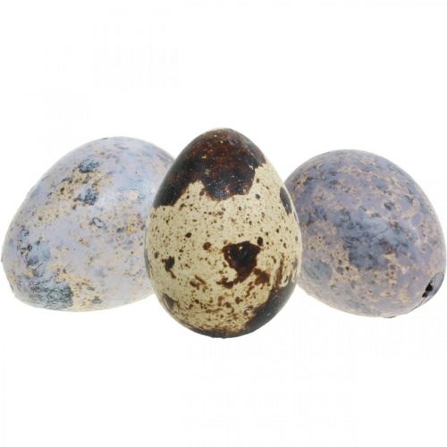 Wachtelei Mix Lila, Violett, Natur Leere Eier als Deko 3cm 65St