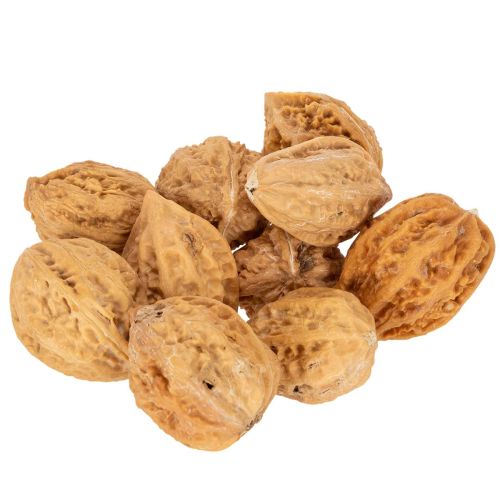 Walnüsse Natur braun 4-5 cm 300 g für Dekoration und DIY einkaufen | Floristik21.de