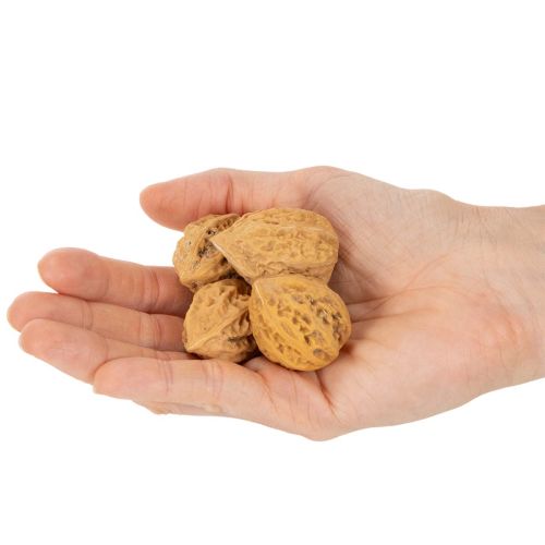 Walnüsse Natur braun 4-5 cm 300 g für Dekoration und DIY | Floristik21.de