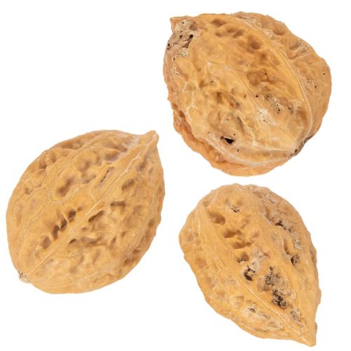 Walnüsse Natur braun 4-5 cm