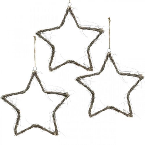 Floristik21 Weihnachtsdeko Stern Weiß gewaschen Sterne zum Aufhängen Ulme 30cm 4St