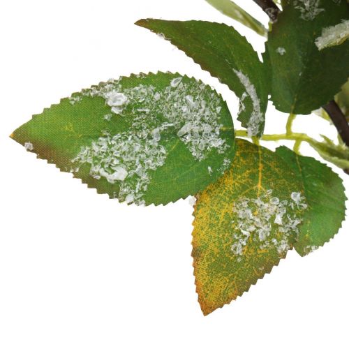 Floristik21 Weihnachtszweige mit roten Beeren, Winterdeko, Scheinbeere Rot beschneit L58cm