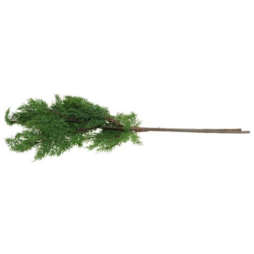 Floristik21 Weihnachtszweige Zypressenzweige künstlich Grün 72cm 2St
