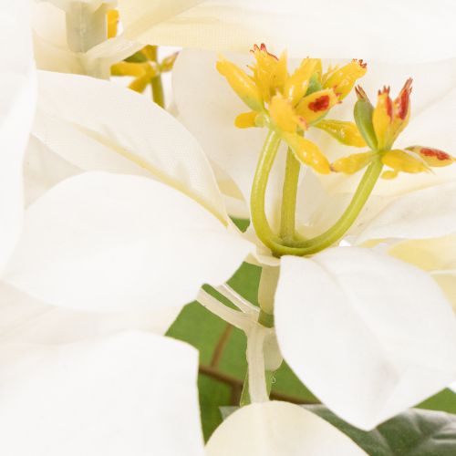 Kunstblume Weihnachtsstern Weiß 40cm Kunststoff und Kunstseide | Floristik21.de