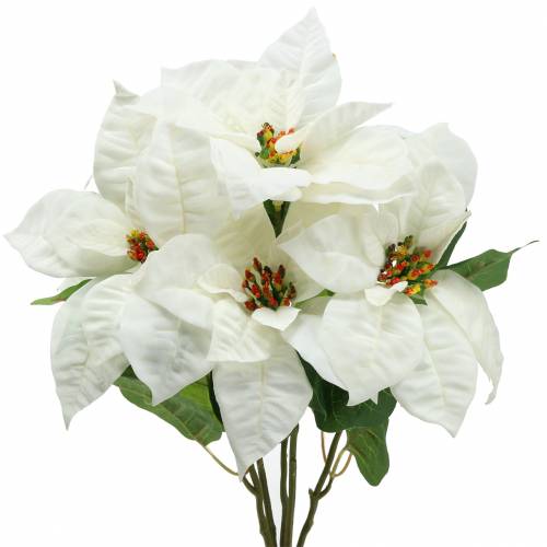 Weihnachtsstern Strauss Weiss 52cm 64854