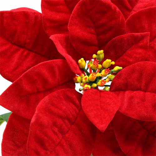 Floristik21 Weihnachtsstern Kunstblume Rot 67cm
