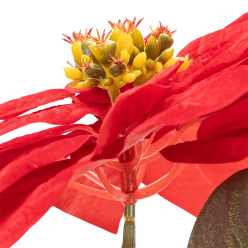 Kunstblume Weihnachtsstern Rot Einzelstiel 82cm Kunststoff | Floristik21.de