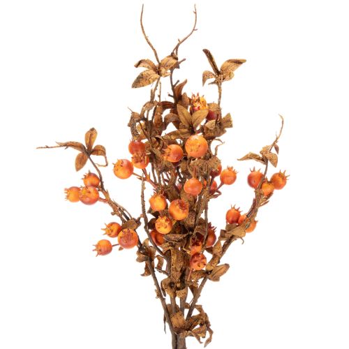 Künstlicher Weißdornzweig 75 cm Braun Orange Innenbereich | Floristik21.de